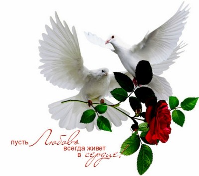 Den-svyatogo-Valentina-i-golubi.jpg