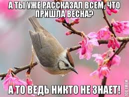 images (22).jpeg