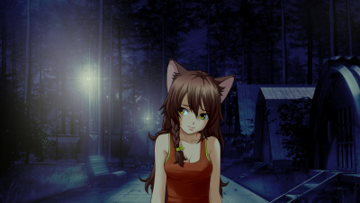 screenshot0077.png