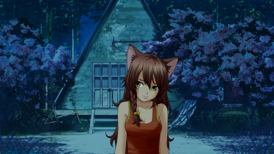 screenshot0081.png