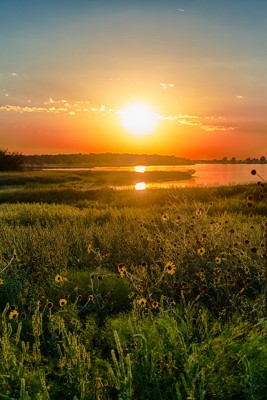 Lake_Sunrises_and_sunsets_USA_Texas_Grass_526577_640x960.jpg