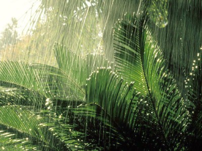 rain-in-bali.jpg