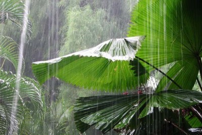 Rainy_bali_weather_season.jpeg