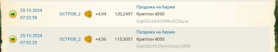 Screenshot_20241025-120650_Yandex Browser.jpg