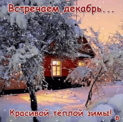 Screenshot_20241201_124615.jpg