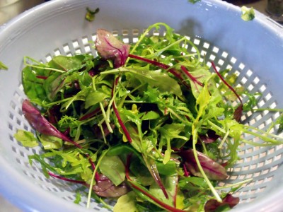 Baby-leaves-salad-1.jpg