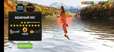 Screenshot_20211105-163929_Fishing Clash.jpg