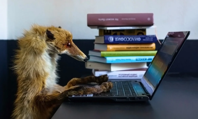 изображение.png