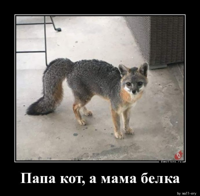 изображение.png