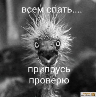 srGAyO1Oqa.jpg