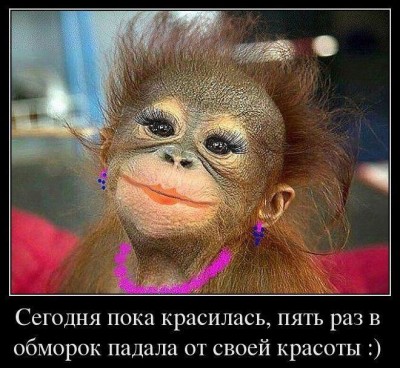 об1.jpg