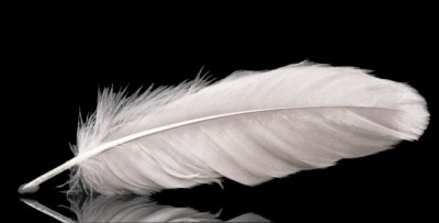 depositphotos_23886859-stock-photo-beautiful-feather-on-black-background.jpg