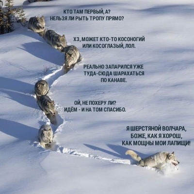 Foto-18.jpg