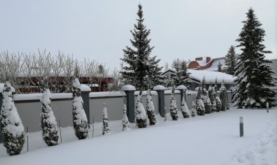 IMG_20211223_155049.jpg